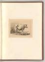 Druckgrafiken nach Werken von Johann Heinrich Roos, Kuh, Inv. Nr.: Deutsch nach Sektionen II/7,…