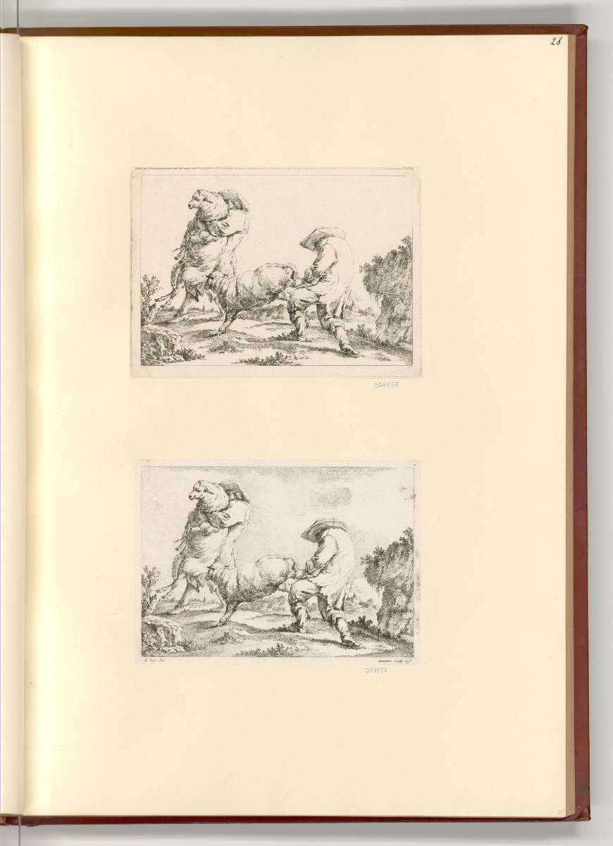 Druckgrafiken nach Werken von Johann Heinrich Roos, Hirten beim Schafe einfangen, Inv. Nr.: Deu…