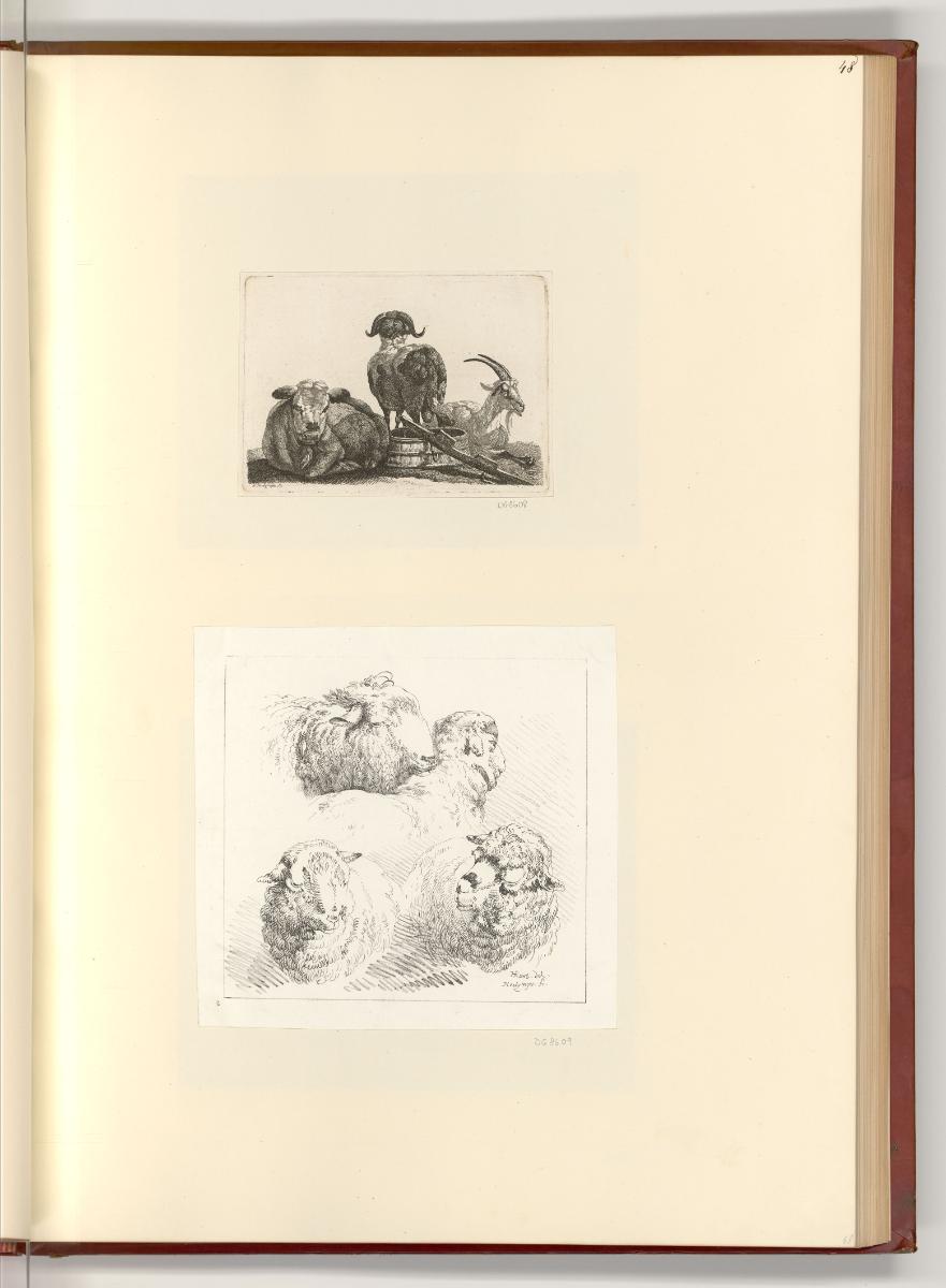 Druckgrafiken nach Werken von Johann Heinrich Roos, Nutztiere, Inv. Nr.: Deutsch nach Sektionen…