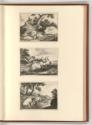 Druckgrafiken nach Werken von Johann Heinrich Roos, Schafe, Inv. Nr.: Deutsch nach Sektionen II…