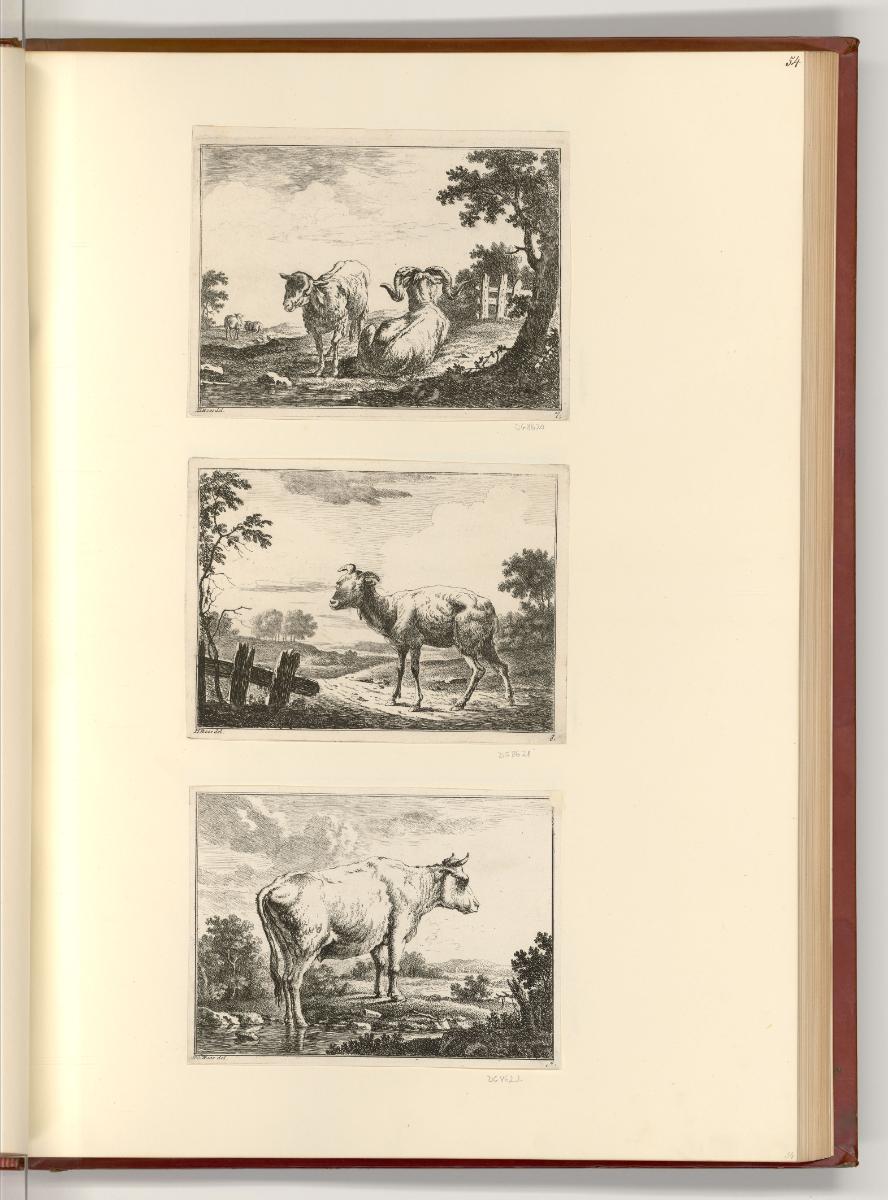 Druckgrafiken nach Werken von Johann Heinrich Roos, Nutztiere, Inv. Nr.: Deutsch nach Sektionen…