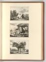 Druckgrafiken nach Werken von Johann Heinrich Roos, Nutztiere, Inv. Nr.: Deutsch nach Sektionen…