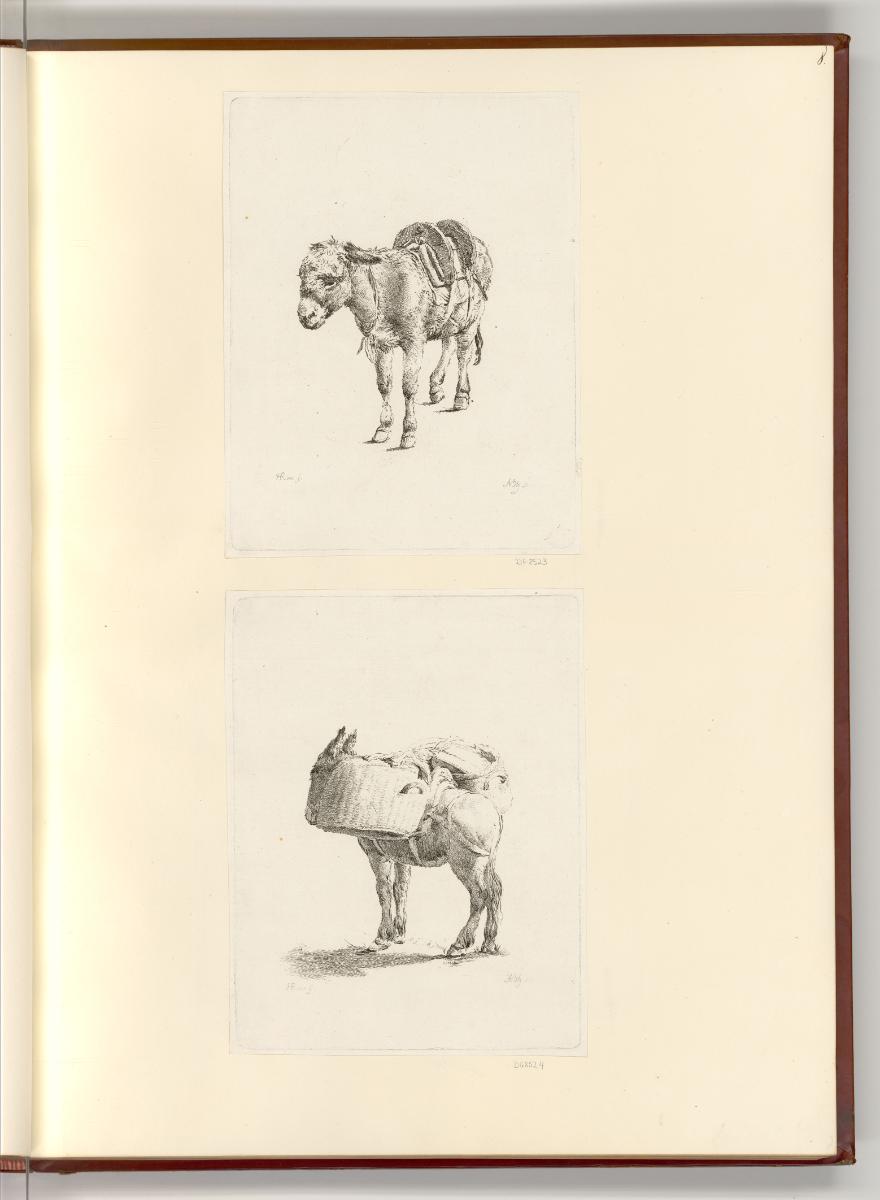 Druckgrafiken nach Werken von Johann Heinrich Roos, Esel, Inv. Nr.: Deutsch nach Sektionen II/7…