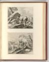 Druckgrafiken nach Werken von Johann Heinrich Roos, Nutztiere, Inv. Nr.: Deutsch nach Sektionen…