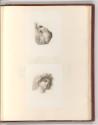 Druckgrafiken nach Werken von Heinrich Friedrich Füger, Kopfstudien, Inv. Nr.: Deutsch nach Sek…