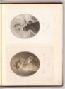 Druckgrafiken nach Werken von Heinrich Friedrich Füger, Porträts Heinrich Friedrich Füger, Jose…
