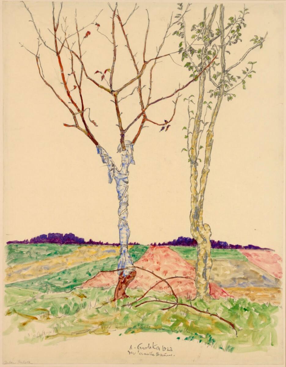 Anton Peschka, Der kranke Baum, Inv. Nr.: 23830