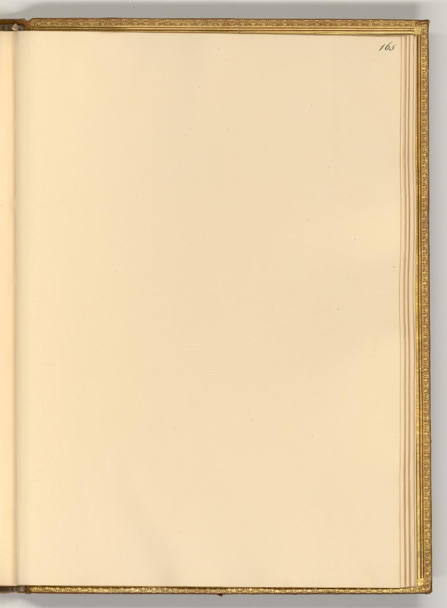 Radierungen von Wenzel Hollar, Leerseite, Inv. Nr.: Deutsch nach Sektionen III/5, D/III/5/165