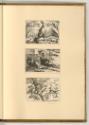 Radierungen von Wenzel Hollar, Vögel, Inv. Nr.: Deutsch nach Sektionen III/6, D/III/6/34