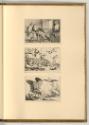 Radierungen von Wenzel Hollar, Vögel, Inv. Nr.: Deutsch nach Sektionen III/6, D/III/6/35