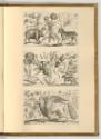 Radierungen von Wenzel Hollar, Tiere und Pflanzen, Inv. Nr.: Deutsch nach Sektionen III/6, D/II…