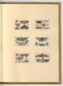 Radierungen von Wenzel Hollar, Insekten, Inv. Nr.: Deutsch nach Sektionen III/6, D/III/6/71