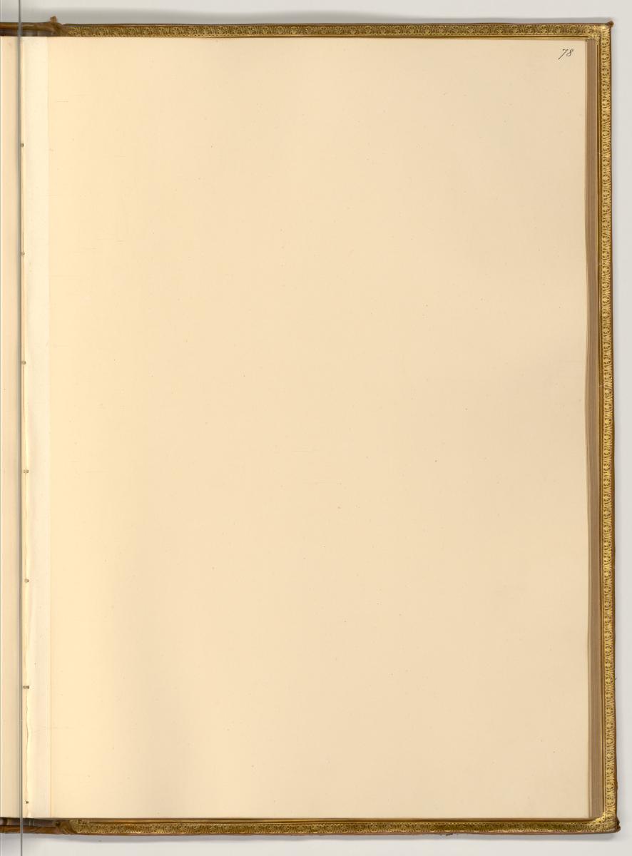 Radierungen von Wenzel Hollar, Leerseite, Inv. Nr.: Deutsch nach Sektionen III/6, D/III/6/78