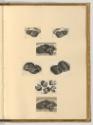 Radierungen von Wenzel Hollar, Muff mit Tuch und Maske, Muff mit Schleife, Inv. Nr.: Deutsch na…