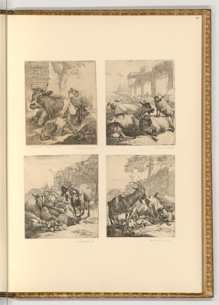 Radierungen von und nach Johann Heinrich Roos, Diverse Nutztiere, Inv. Nr.: Deutsch nach Sektio…