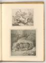 Radierungen von und nach Johann Elias Ridinger, Hirsch im Kampf mit Leoparden; Wildschwein, Inv…