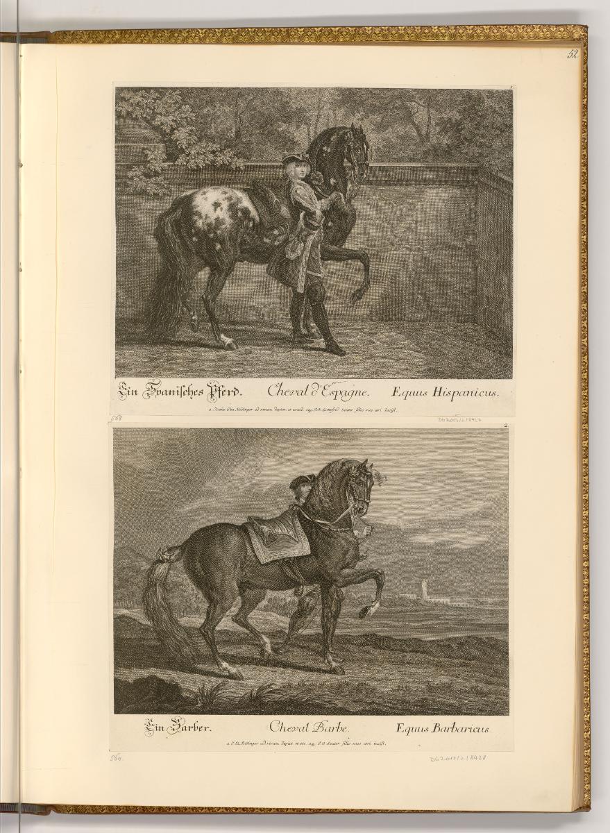 Radierungen von und nach Johann Elias Ridinger, Ein spanisches Pferd; Ein Barber, Inv. Nr.: Deu…
