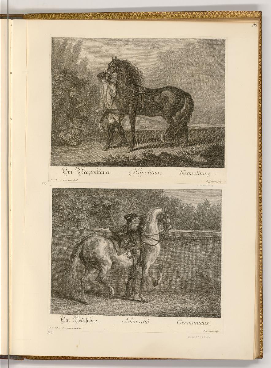 Radierungen von und nach Johann Elias Ridinger, Ein Neapolitaner; Ein Teutscher, Inv. Nr.: Deut…