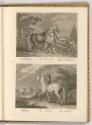 Radierungen von und nach Johann Elias Ridinger, Oldenbürger; Holsteiner, Inv. Nr.: Deutsch nach…