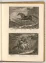 Radierungen von und nach Johann Elias Ridinger, Tartarisches Pferd; Niderländer, Inv. Nr.: Deut…