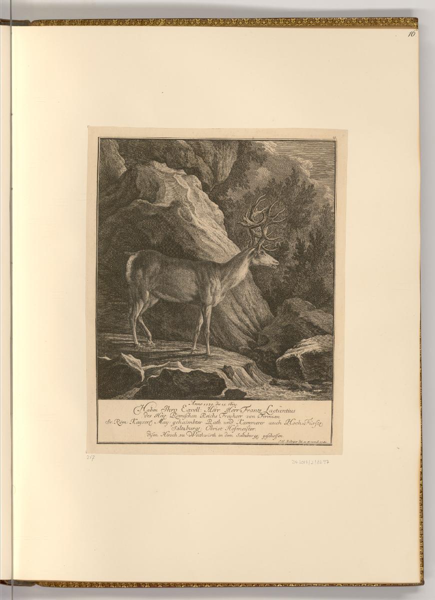 Radierungen von Johann Elias Ridinger, Hirsch, Inv. Nr.: Deutsch nach Sektionen III/16, D/III/1…