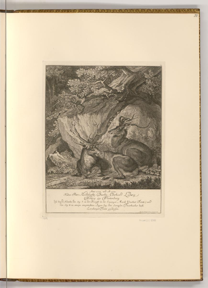 Radierungen von Johann Elias Ridinger, Hirsche, Inv. Nr.: Deutsch nach Sektionen III/16, D/III/…