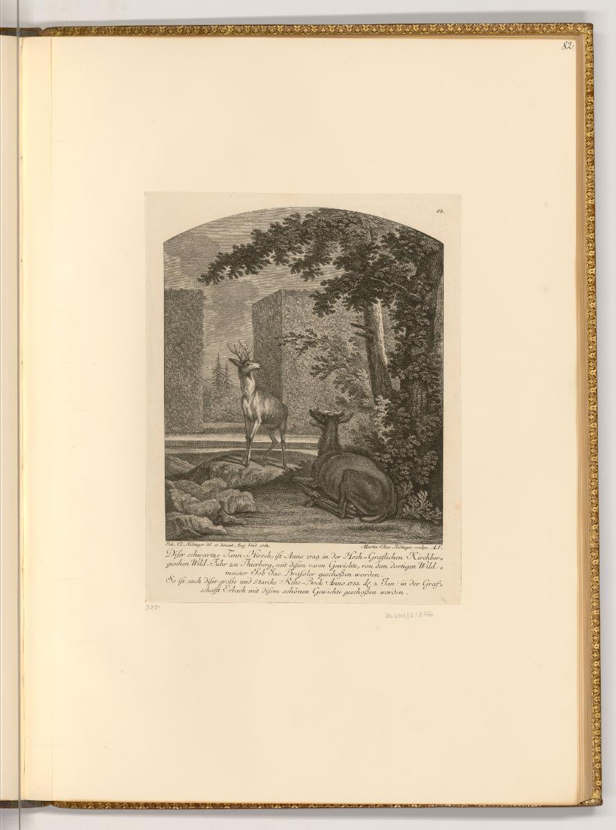 Radierungen von Johann Elias Ridinger, Hirsche, Inv. Nr.: Deutsch nach Sektionen III/16, D/III/…