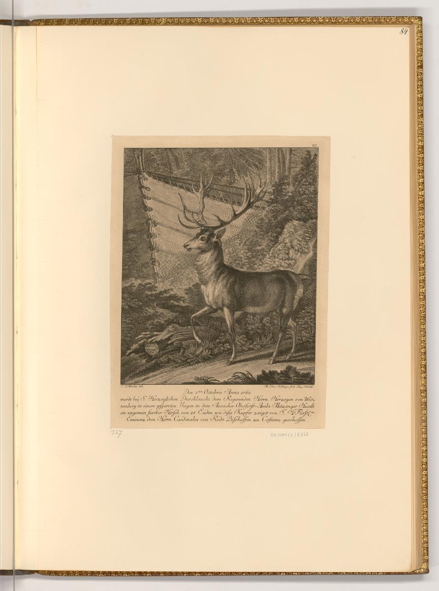 Radierungen von Johann Elias Ridinger, Hirsch, Inv. Nr.: Deutsch nach Sektionen III/16, D/III/1…