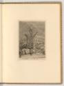 Radierungen von Johann Elias Ridinger, Hirsch, Inv. Nr.: Deutsch nach Sektionen III/16, D/III/1…