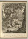 Radierungen von Johann Elias Ridinger, Wildschweingruppe, Inv. Nr.: Deutsch nach Sektionen III/…