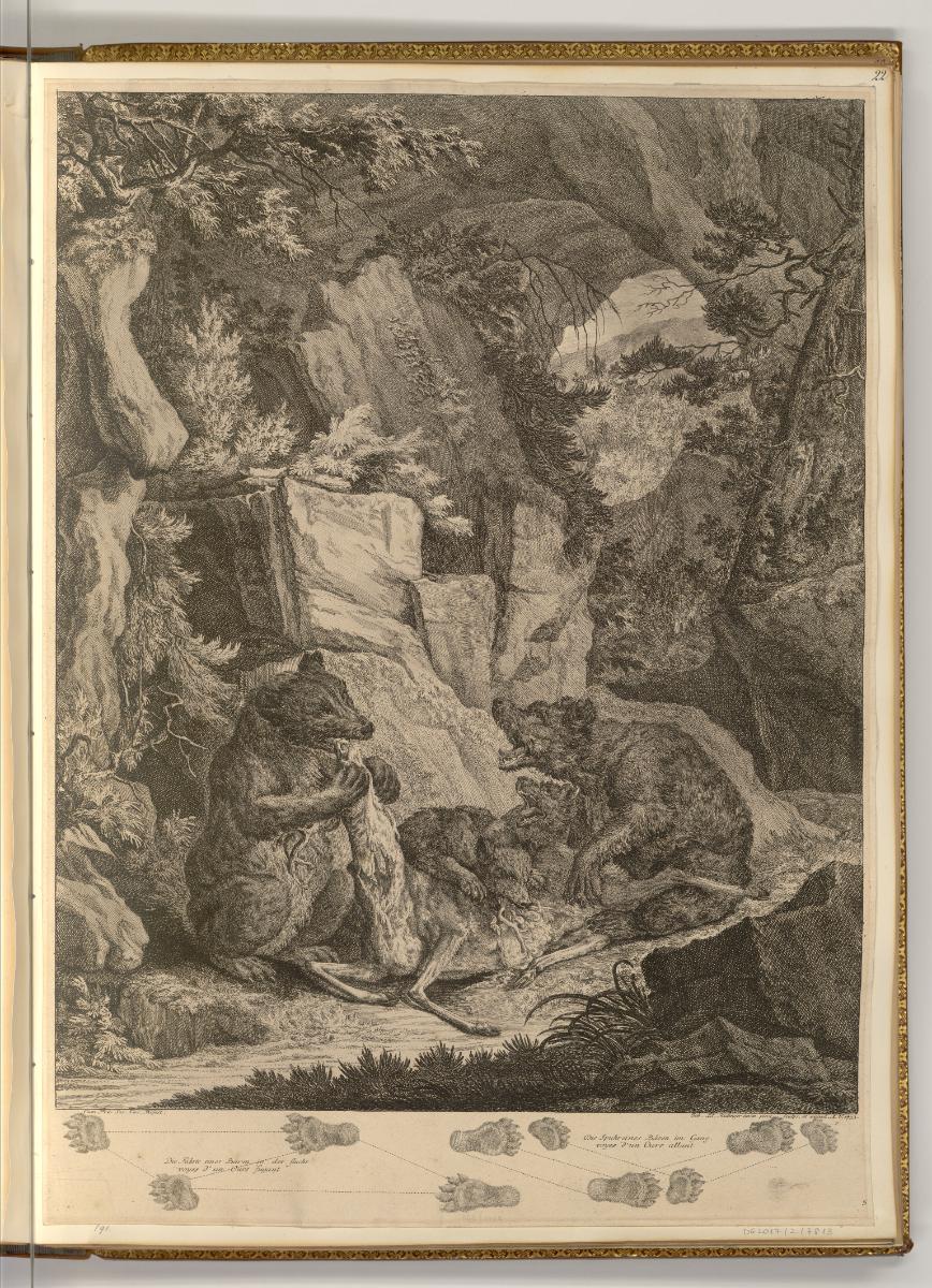 Radierungen von Johann Elias Ridinger, Die Bärenfamilie, Inv. Nr.: Deutsch nach Sektionen III/1…