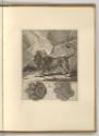 Radierungen von Johann Elias Ridinger, Der Löwe, Inv. Nr.: Deutsch nach Sektionen III/13, D/III…