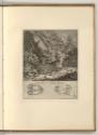 Radierungen von Johann Elias Ridinger, Die Hirschkuh, Inv. Nr.: Deutsch nach Sektionen III/13, …