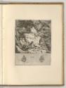 Radierungen von Johann Elias Ridinger, Der Fuchs, Inv. Nr.: Deutsch nach Sektionen III/13, D/II…