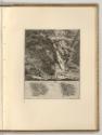 Radierungen von Johann Elias Ridinger, Der Dachs, Inv. Nr.: Deutsch nach Sektionen III/13, D/II…