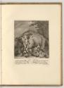 Radierungen von Johann Elias Ridinger, Der Elefant und das Nashorn, Inv. Nr.: Deutsch nach Sekt…