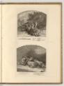 Radierungen von Johann Elias Ridinger, Löwen, Inv. Nr.: Deutsch nach Sektionen III/13, D/III/13…