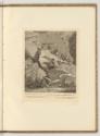 Radierungen von Johann Elias Ridinger, Verschiedene Vögel, Inv. Nr.: Deutsch nach Sektionen III…