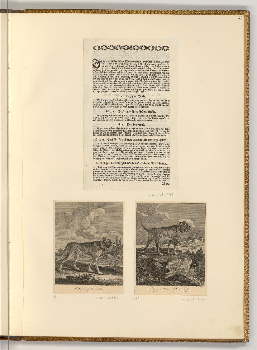 Radierungen von Johann Elias Ridinger, Inhaltsbeschreibung; Hunde, Inv. Nr.: Deutsch nach Sekti…