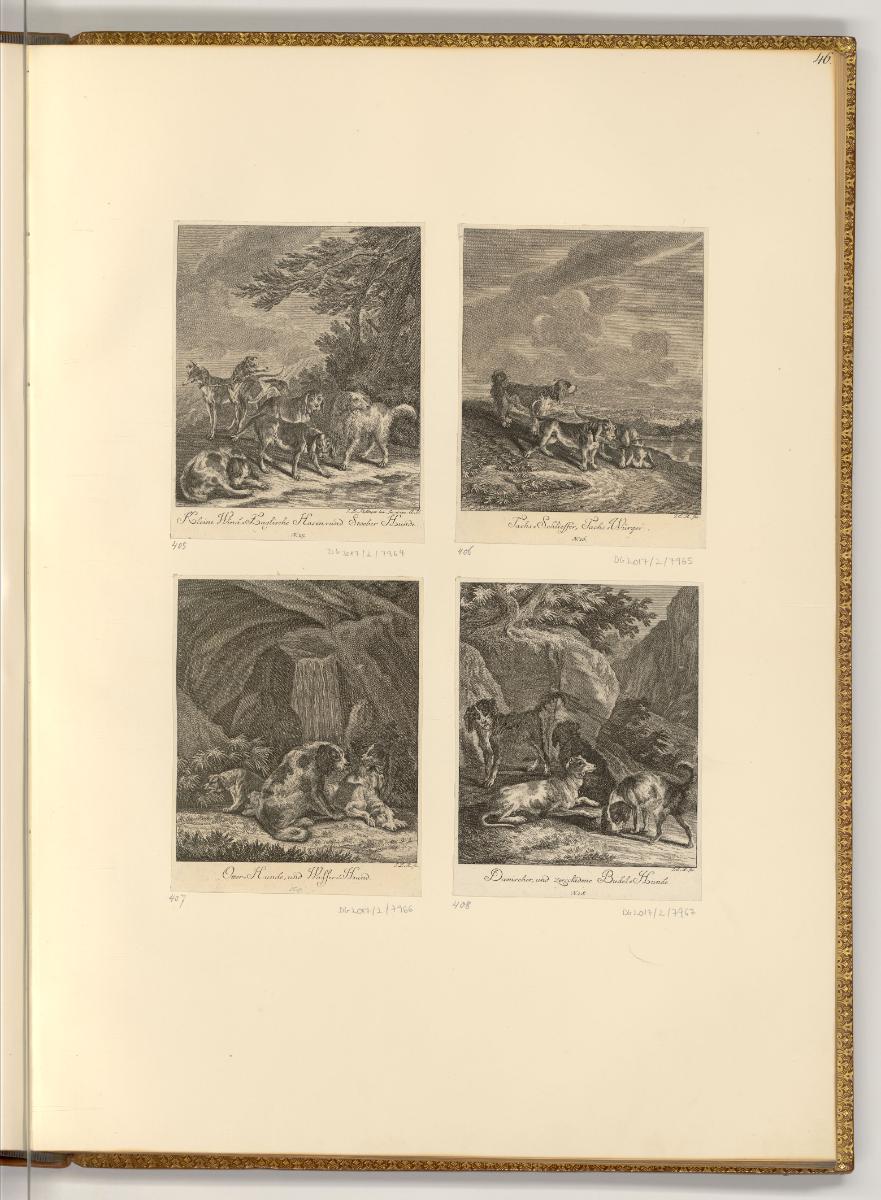 Radierungen von Johann Elias Ridinger, Hunde, Inv. Nr.: Deutsch nach Sektionen III/14, D/III/14…