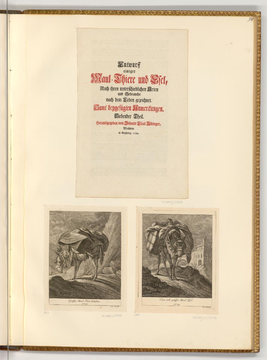 Radierungen von Johann Elias Ridinger, Titelblatt und Inhaltsbeschreibung; Maultier; Esel, Inv.…
