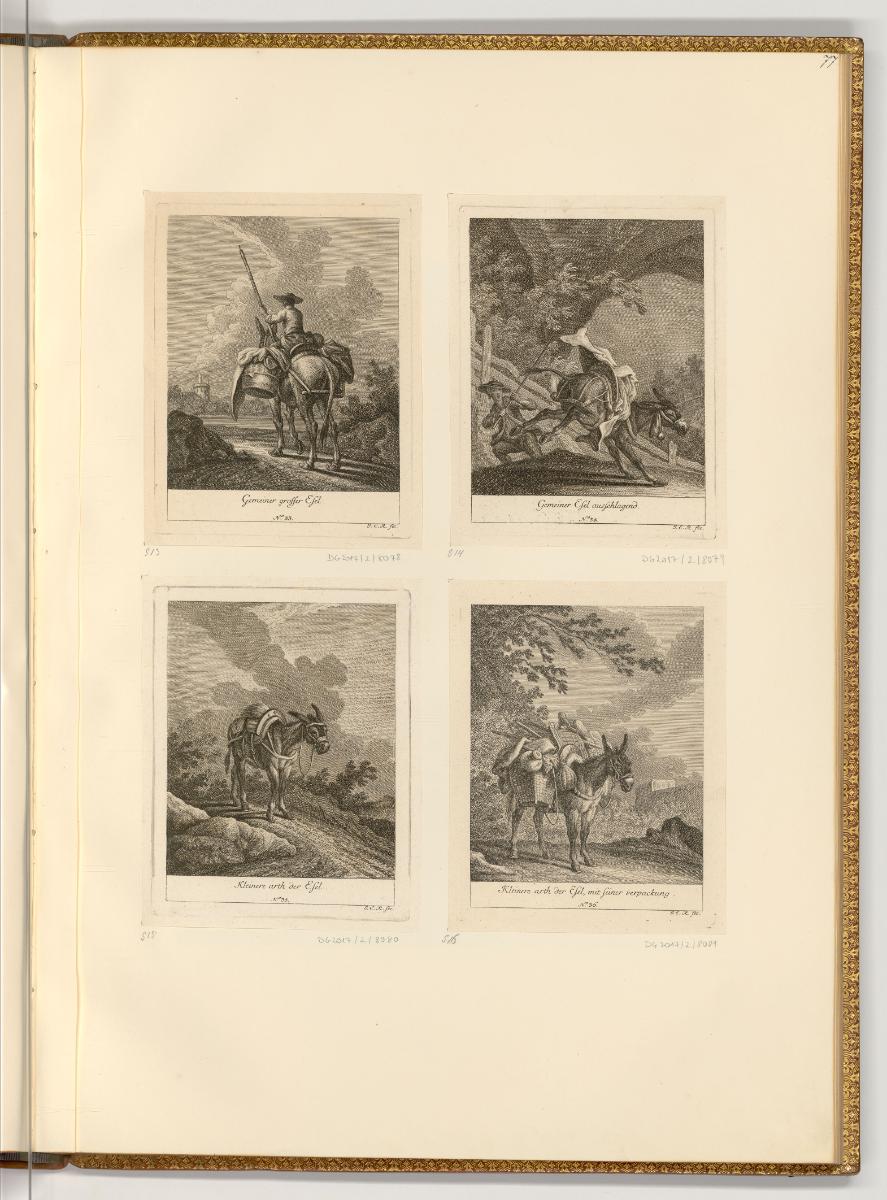 Radierungen von Johann Elias Ridinger, Esel, Inv. Nr.: Deutsch nach Sektionen III/14, D/III/14/…
