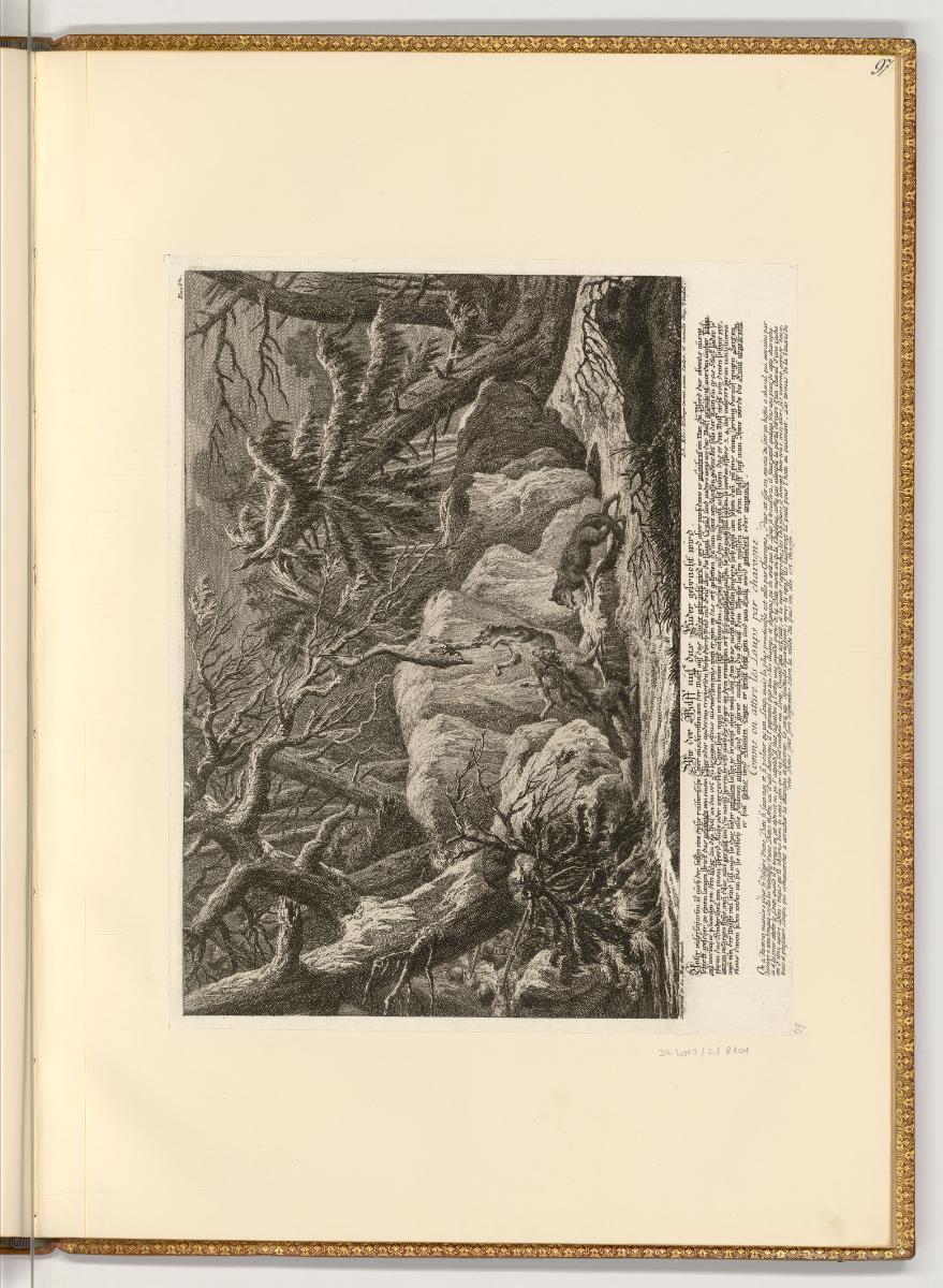Radierungen von Johann Elias Ridinger, Wie der Wolf auf das Luder gebracht wird, Inv. Nr.: Deut…
