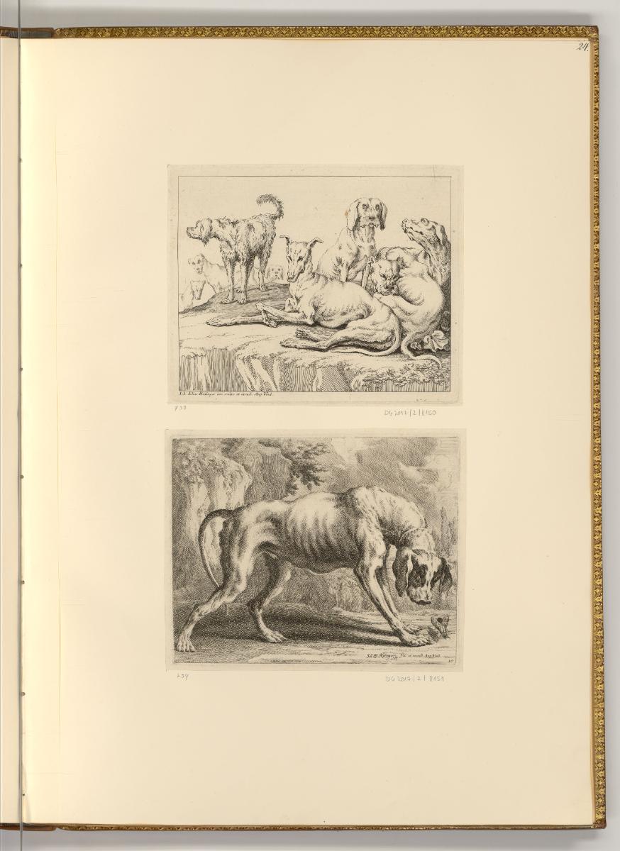 Radierungen von Johann Elias Ridinger, Hundestudien, Inv. Nr.: Deutsch nach Sektionen III/15, D…