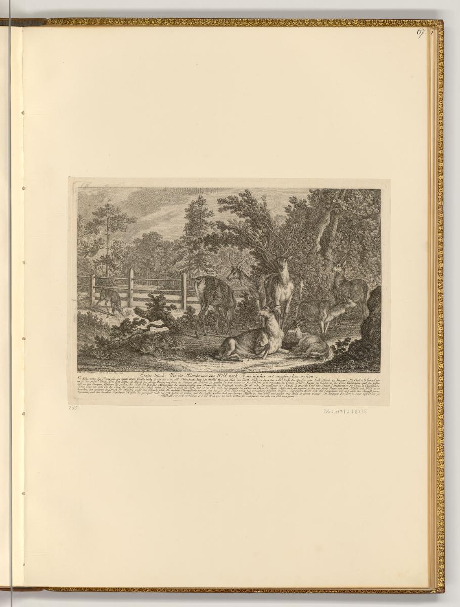 Radierungen von Johann Elias Ridinger, Wie die Hirsche und das Wild nach Französischer art ange…