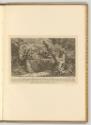 Radierungen von Johann Elias Ridinger, Bohr-Baum vor eine wilde Katze oder Marder, Inv. Nr.: De…