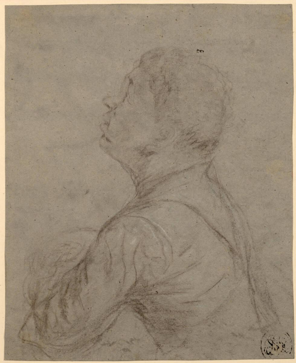 Anonym, Halbfigur eines im Profil nach links gebeugten Mannes, Inv. Nr.: 24027