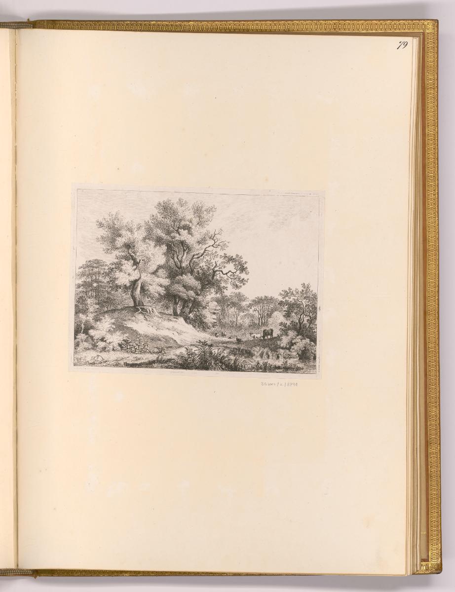 Radierungen von Carl Philipp Schallhas; Josef Abel und Franz Rechberger, Landschaft, Inv. Nr.: …