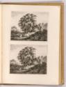Radierungen von Carl Philipp Schallhas; Josef Abel und Franz Rechberger, Baumlandschaft am Wass…
