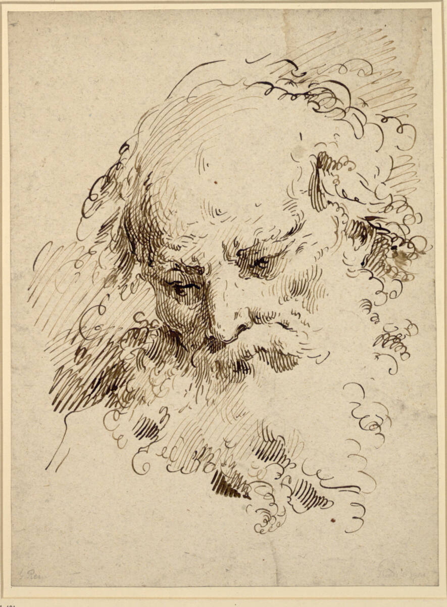 Studienkopf eines bärtigen Mannes, Pietro Antonio Novelli